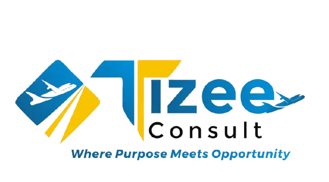 Tizee Consult Logo